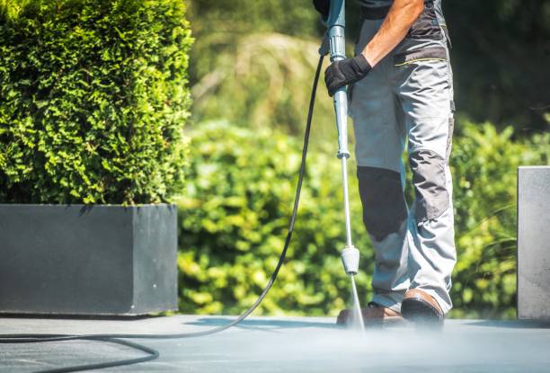 Best Patio and Deck Pressure Washing  in Roebling, NJ