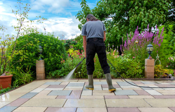 Best Fence Cleaning  in Roebling, NJ